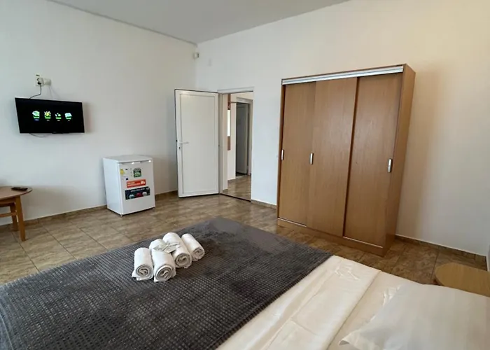 招待所 Tiara 科斯蒂内什蒂