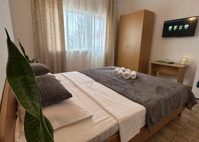 Pensión Tiara Costinesti